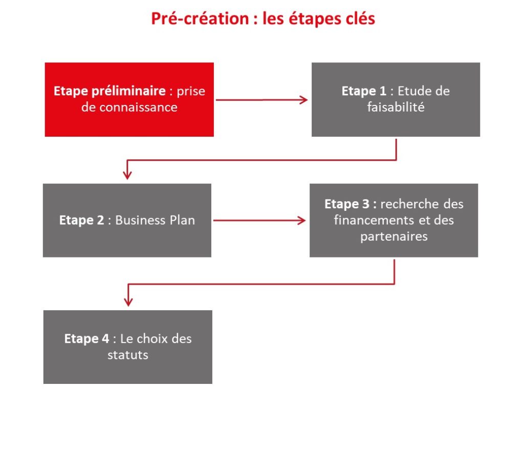 Dipole Conseil : les étapes clés de la création d'entreprise 1 sur 2