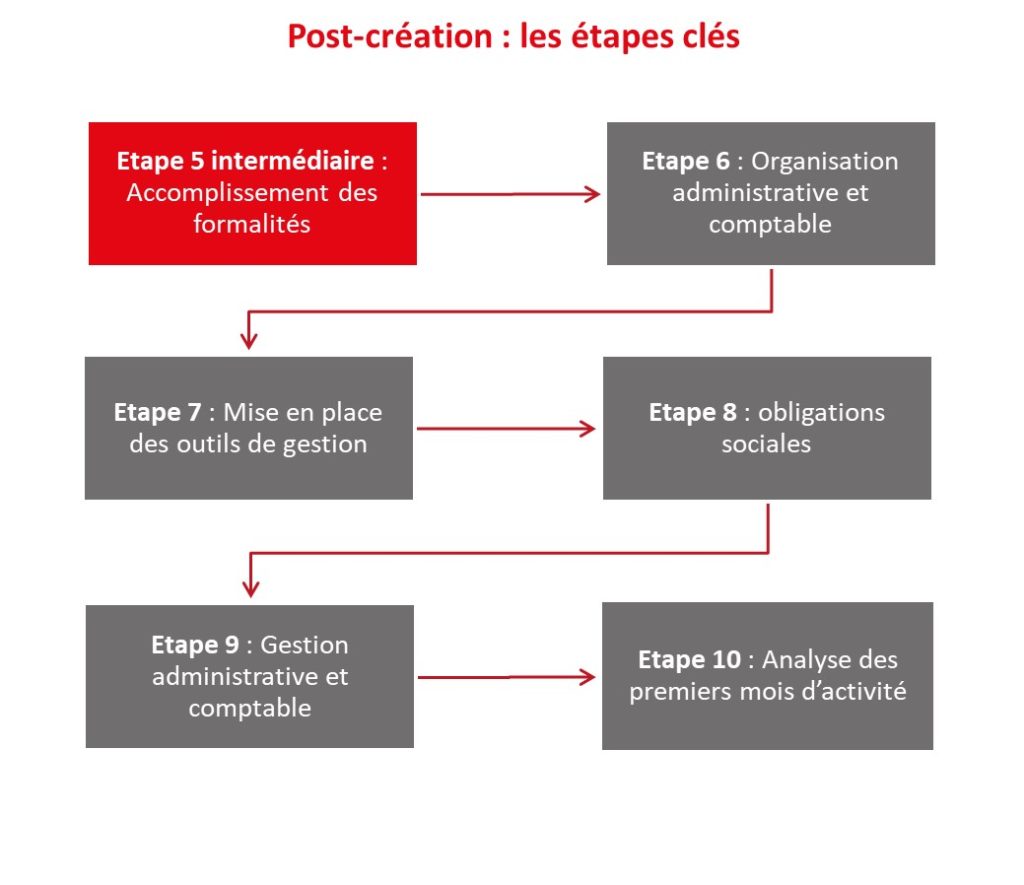 Dipole Conseil : les étapes clés de la création d'entreprise 2 sur 2